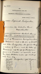 Naturalisation papers