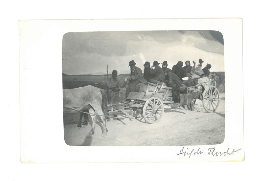 Extended families. Group on horse cart.