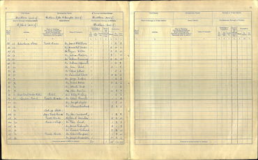 1911 Census Summary Book