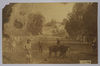 Postcard photograph of Palestine, possibly taken by a member of the Royal Fusiliers. ©Jewish Museum London/Jewish Military Museum
