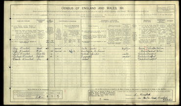 1911 census, Winestock family