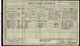 1911 Census 