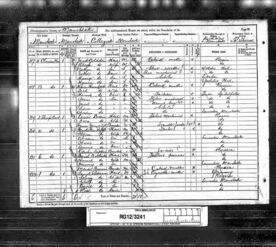 1891 Census