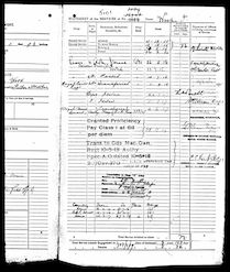 Statement of Services