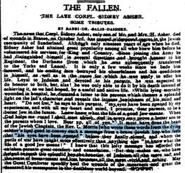 The Fallen (In Anecdotes)