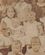 School Photo close up c.1899