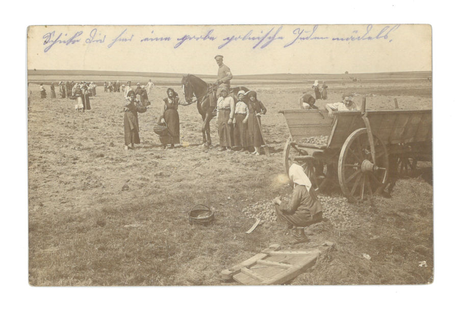 Working in the fields, selling vegetables
