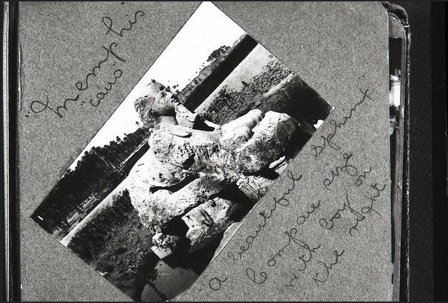 Salzedo Photo album - "A beautiful Sphinx. Compare size with boy on the right"