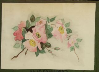 Drawing from the LJS Cheder Books 1915